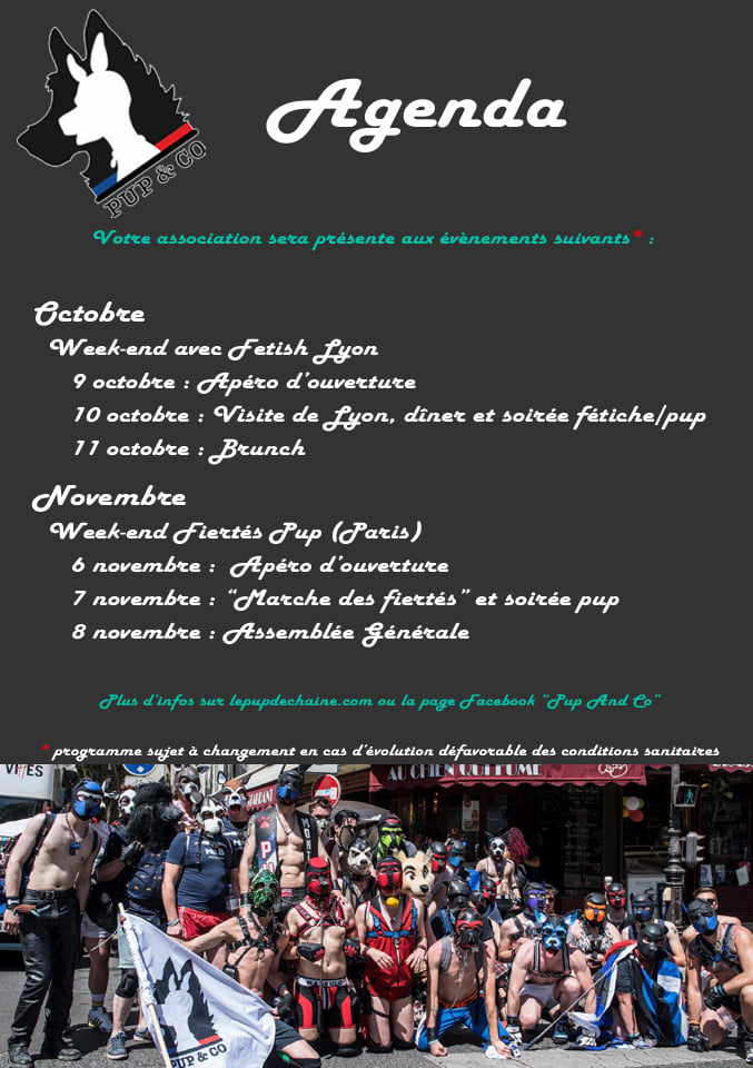 Affiche agenda Pup and Co 2020