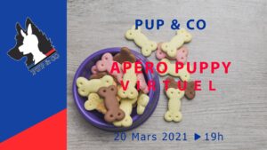 Apéro puppy virtuel de mars 2021
